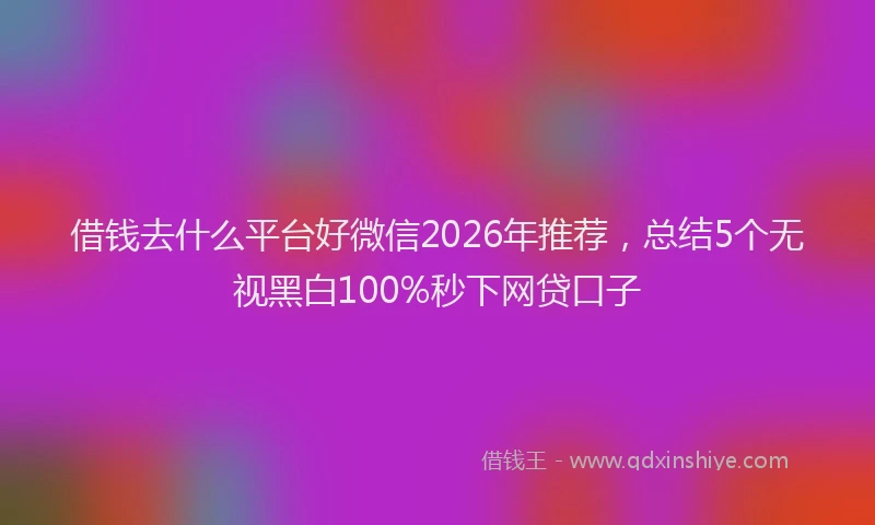 借钱去什么平台好微信2026年推荐，总结5个无视黑白100%秒下网贷口子
