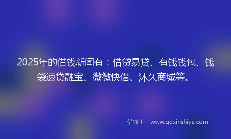 2025年的借钱新闻有：借贷易贷、有钱钱包、钱袋速贷融宝、微微快借、沐久商城等。