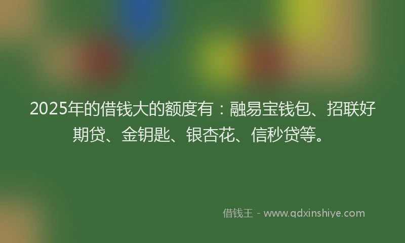 2025年的借钱大的额度有：融易宝钱包、招联好期贷、金钥匙、银杏花、信秒贷等。