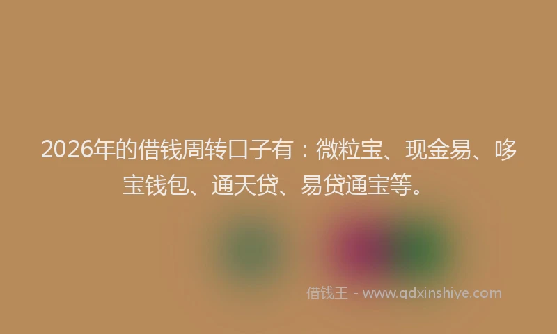 2026年的借钱周转口子有：微粒宝、现金易、哆宝钱包、通天贷、易贷通宝等。