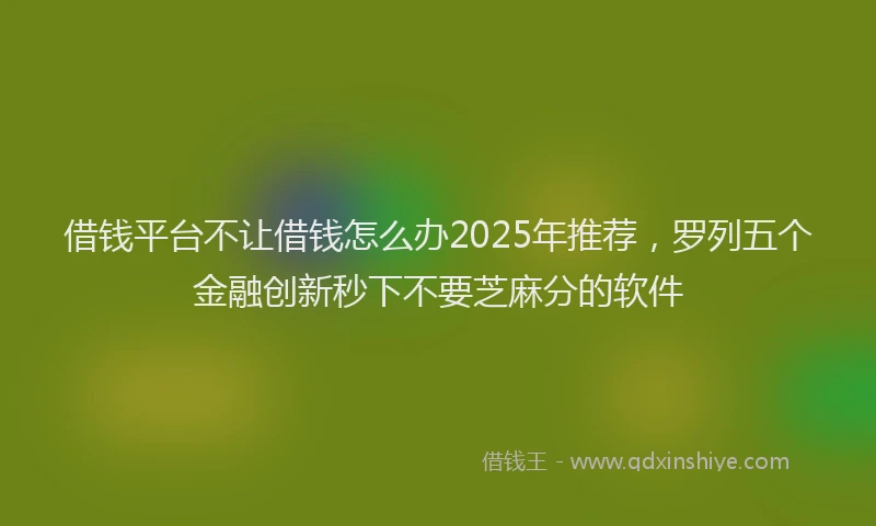 借钱平台不让借钱怎么办2025年推荐，罗列五个金融创新秒下不要芝麻分的软件