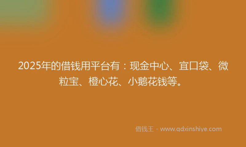 2025年的借钱用平台有:现金中心、宜口袋、微粒宝、橙心花、小鹅花钱等。
