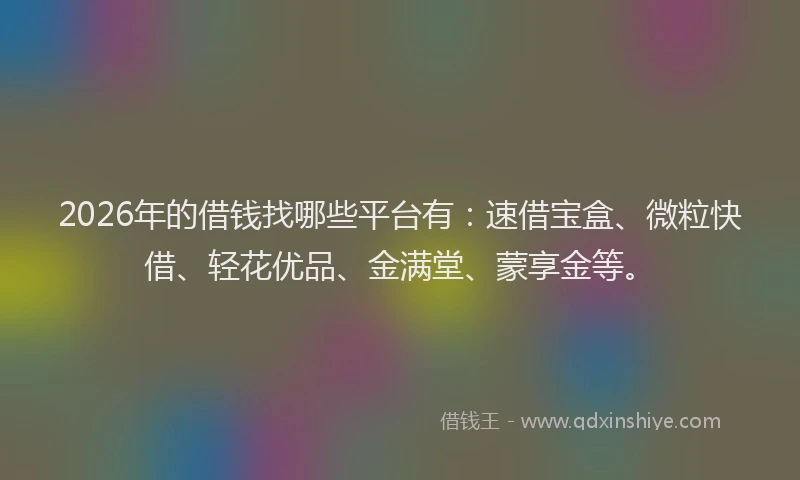 2026年的借钱找哪些平台有:速借宝盒、微粒快借、轻花优品、金满堂、蒙享金等。