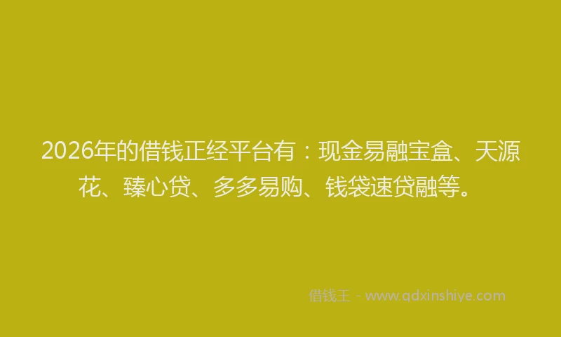2026年的借钱正经平台有：现金易融宝盒、天源花、臻心贷、多多易购、钱袋速贷融等。