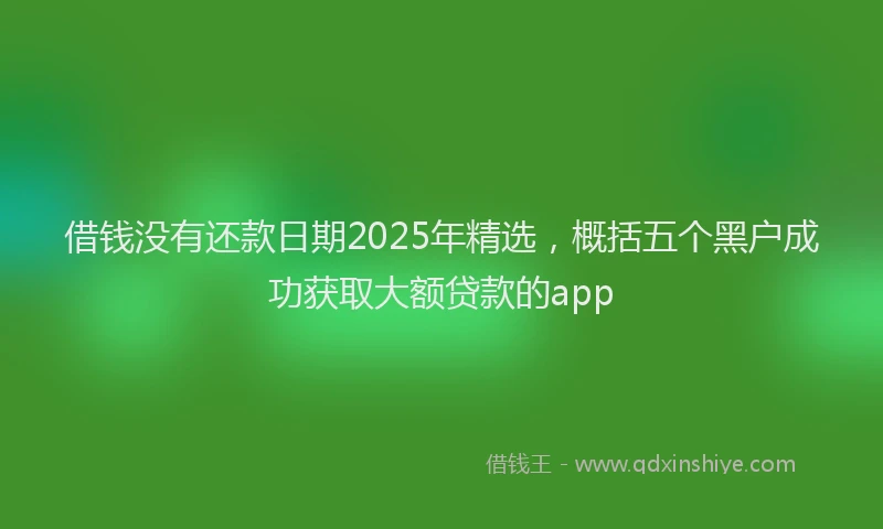 借钱没有还款日期2025年精选，概括五个黑户成功获取大额贷款的app