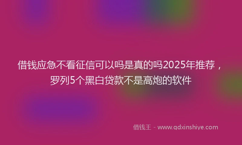 借钱应急不看征信可以吗是真的吗2025年推荐，罗列5个黑白贷款不是高炮的软件