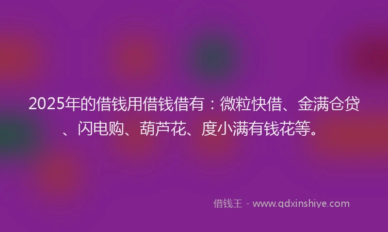 2025年的借钱用借钱借有：微粒快借、金满仓贷、闪电购、葫芦花、度小满有钱花等。