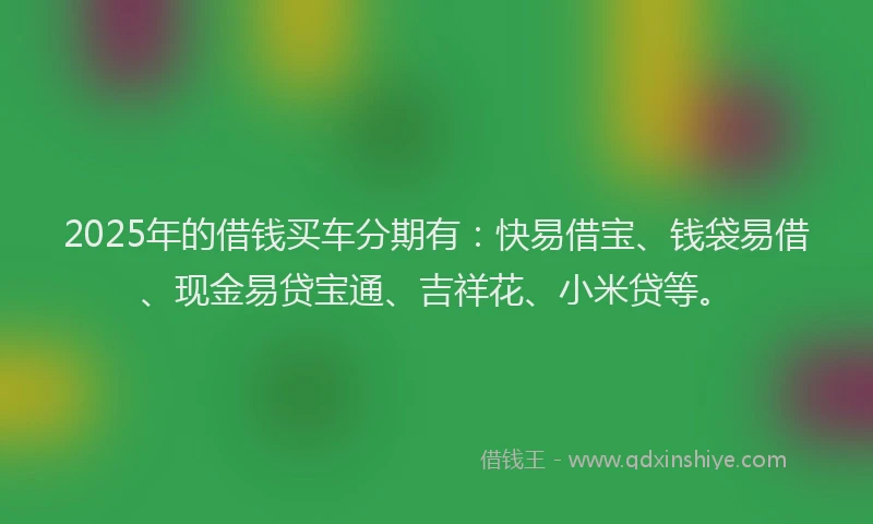 2025年的借钱买车分期有:快易借宝、钱袋易借、现金易贷宝通、吉祥花、小米贷等。
