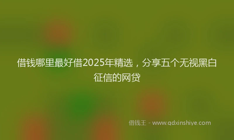 借钱哪里最好借2025年精选，分享五个无视黑白征信的网贷