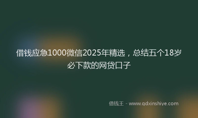 借钱应急1000微信2025年精选，总结五个18岁必下款的网贷口子