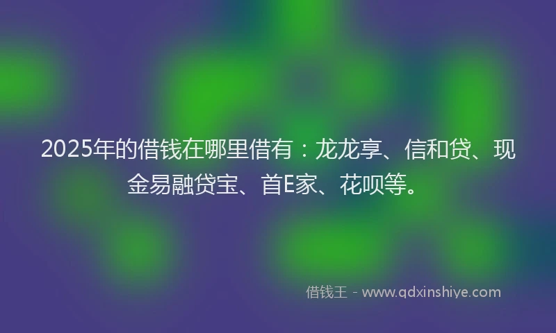 2025年的借钱在哪里借有：龙龙享、信和贷、现金易融贷宝、首E家、花呗等。