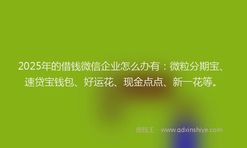 2025年的借钱微信企业怎么办有：微粒分期宝、速贷宝钱包、好运花、现金点点、新一花等。