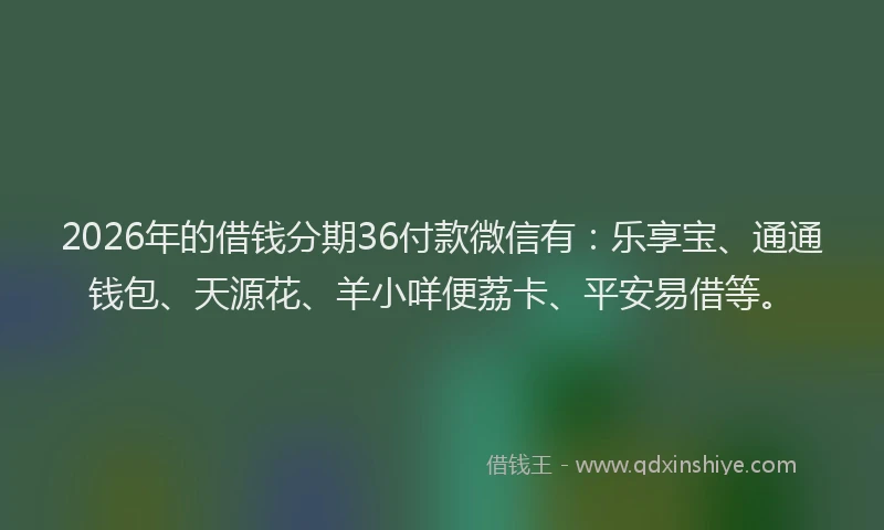 2026年的借钱分期36付款微信有:乐享宝、通通钱包、天源花、羊小咩便荔卡、平安易借等。
