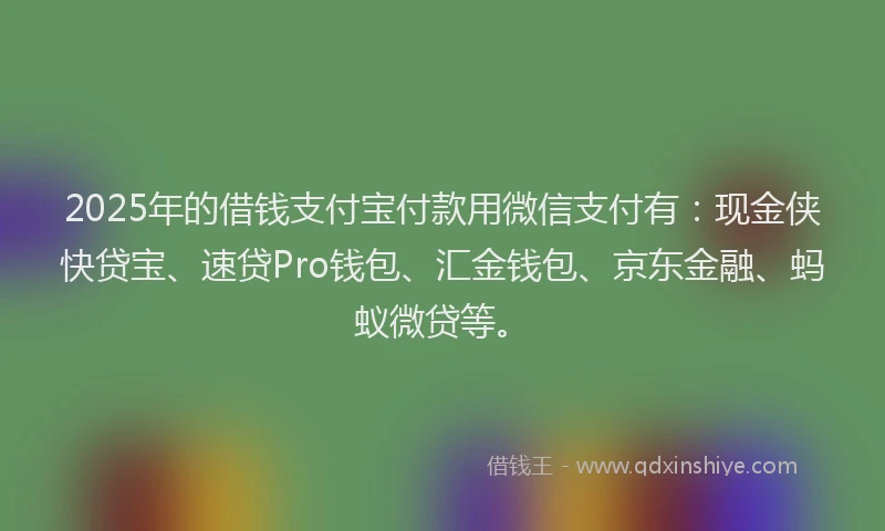 2025年的借钱支付宝付款用微信支付有:现金侠快贷宝、速贷Pro钱包、汇金钱包、京东金融、蚂蚁微贷等。