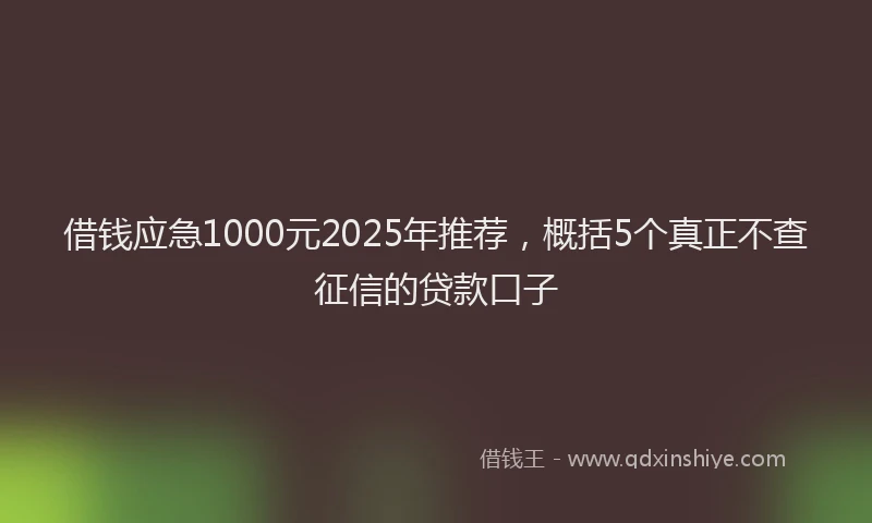 借钱应急1000元2025年推荐，概括5个真正不查征信的贷款口子
