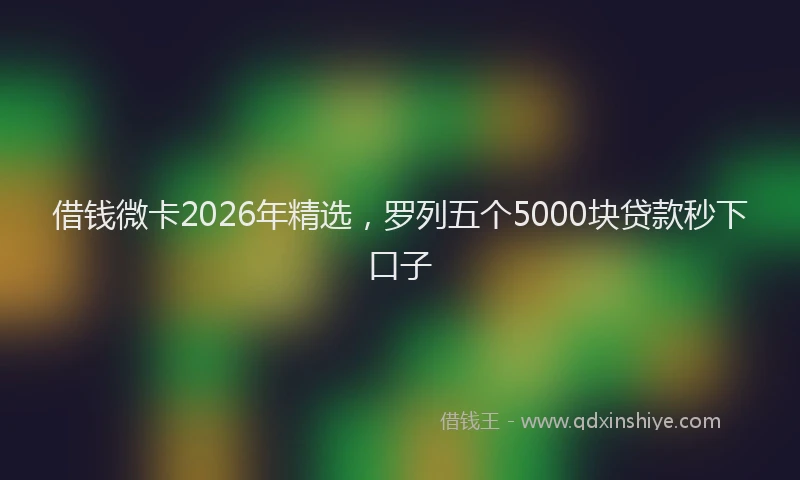 借钱微卡2026年精选，罗列五个5000块贷款秒下口子