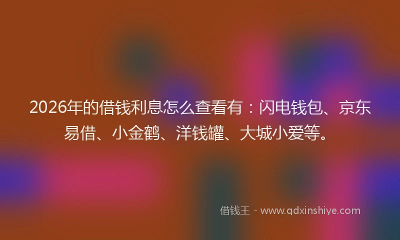 2026年的借钱利息怎么查看有：闪电钱包、京东易借、小金鹤、洋钱罐、大城小爱等。