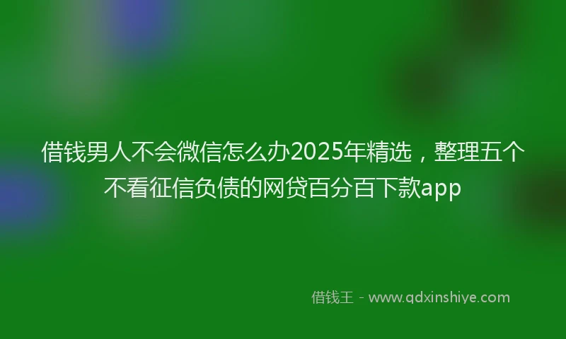 借钱男人不会微信怎么办2025年精选,整理五个不看征信负债的网贷百分百下款app