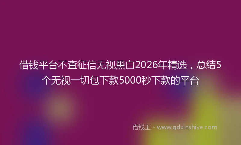 借钱平台不查征信无视黑白2026年精选，总结5个无视一切包下款5000秒下款的平台