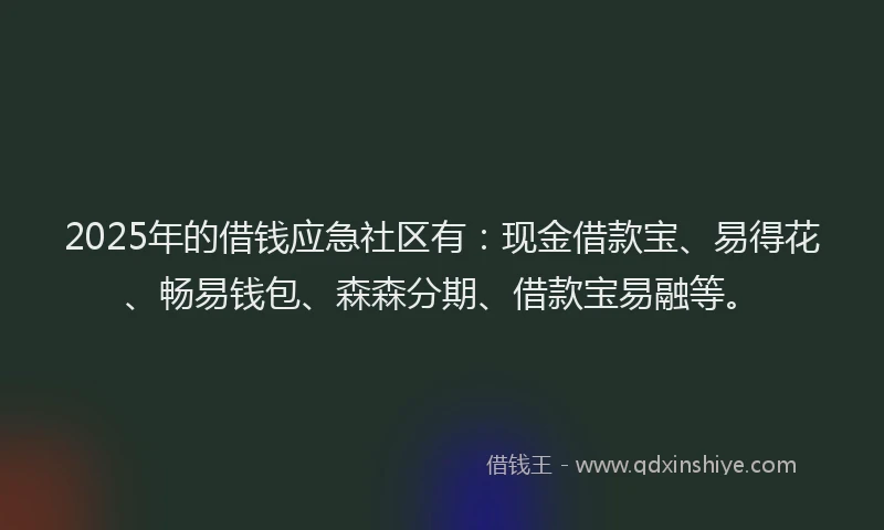 2025年的借钱应急社区有：现金借款宝、易得花、畅易钱包、森森分期、借款宝易融等。