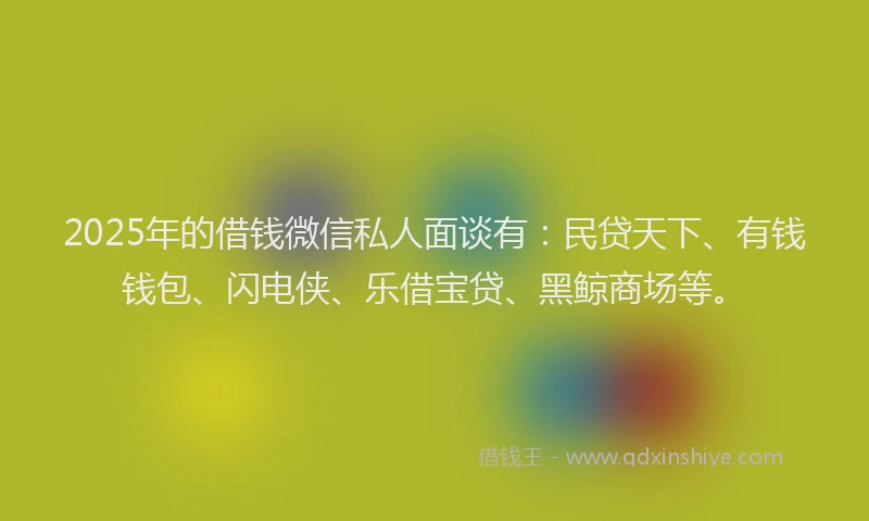 2025年的借钱微信私人面谈有：民贷天下、有钱钱包、闪电侠、乐借宝贷、黑鲸商场等。