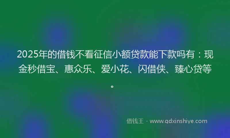 2025年的借钱不看征信小额贷款能下款吗有:现金秒借宝、惠众乐、爱小花、闪借侠、臻心贷等。