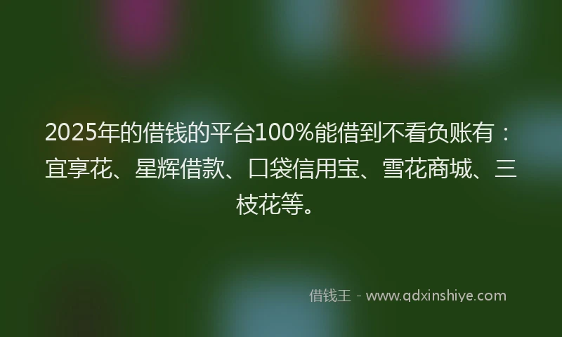 2025年的借钱的平台100%能借到不看负账有：宜享花、星辉借款、口袋信用宝、雪花商城、三枝花等。