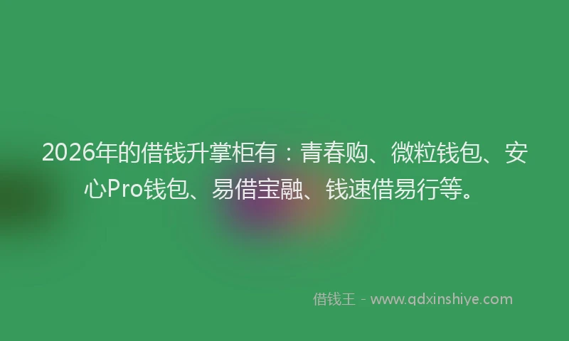2026年的借钱升掌柜有：青春购、微粒钱包、安心Pro钱包、易借宝融、钱速借易行等。
