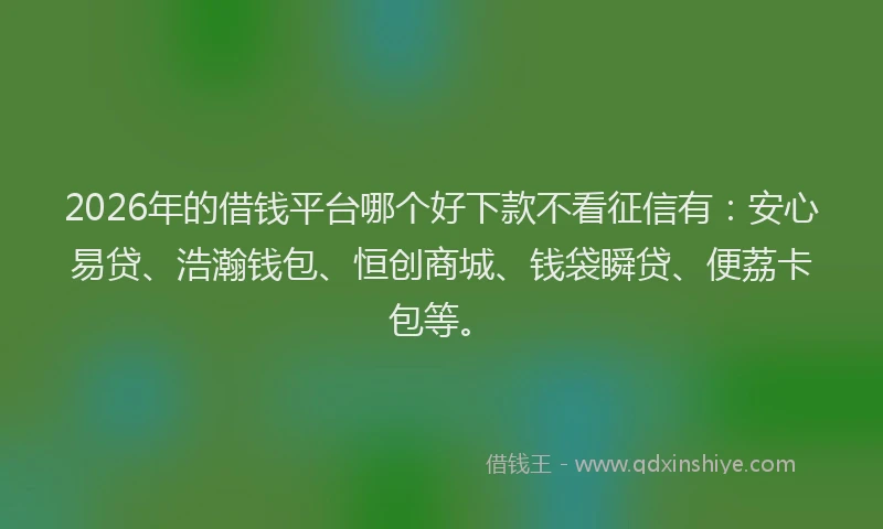 2026年的借钱平台哪个好下款不看征信有：安心易贷、浩瀚钱包、恒创商城、钱袋瞬贷、便荔卡包等。