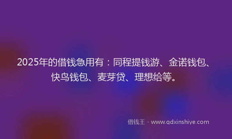 2025年的借钱急用有：同程提钱游、金诺钱包、快鸟钱包、麦芽贷、理想给等。