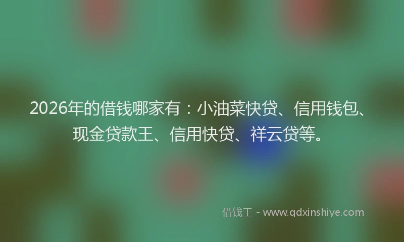 2026年的借钱哪家有:小油菜快贷、信用钱包、现金贷款王、信用快贷、祥云贷等。