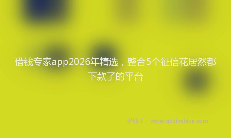借钱专家app2026年精选,整合5个征信花居然都下款了的平台