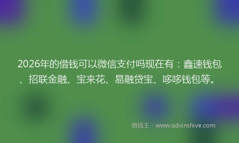 2026年的借钱可以微信支付吗现在有:鑫速钱包、招联金融、宝来花、易融贷宝、哆哆钱包等。