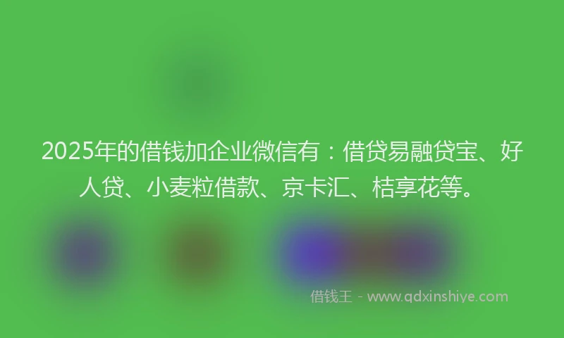 2025年的借钱加企业微信有：借贷易融贷宝、好人贷、小麦粒借款、京卡汇、桔享花等。
