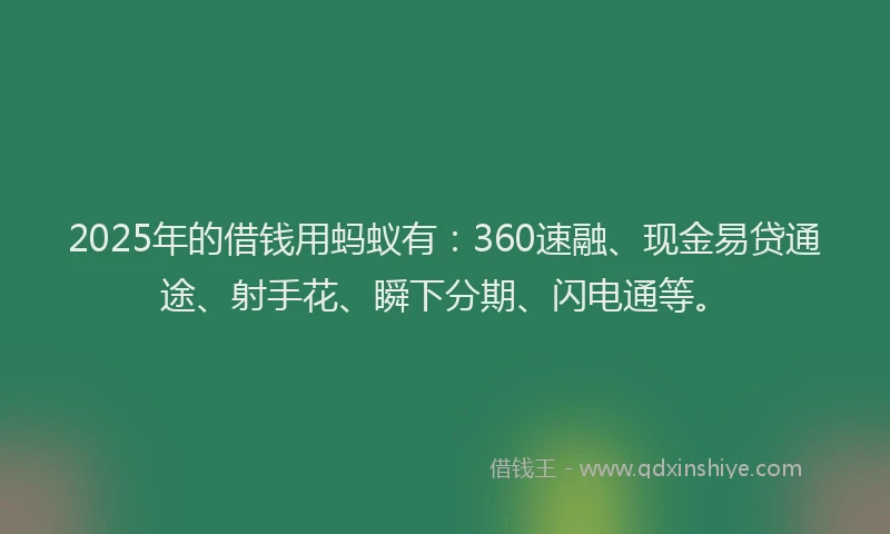2025年的借钱用蚂蚁有：360速融、现金易贷通途、射手花、瞬下分期、闪电通等。