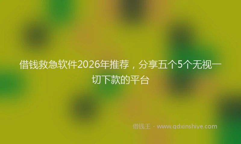 借钱救急软件2026年推荐，分享五个5个无视一切下款的平台