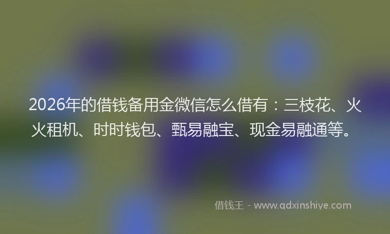 2026年的借钱备用金微信怎么借有：三枝花、火火租机、时时钱包、甄易融宝、现金易融通等。