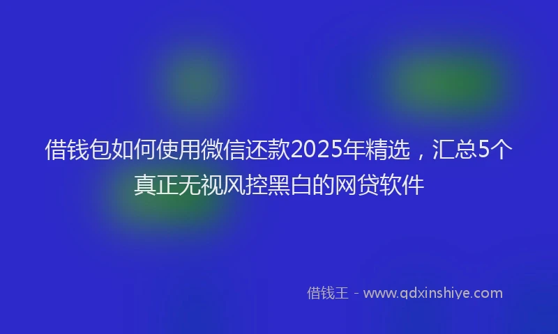 借钱包如何使用微信还款2025年精选，汇总5个真正无视风控黑白的网贷软件
