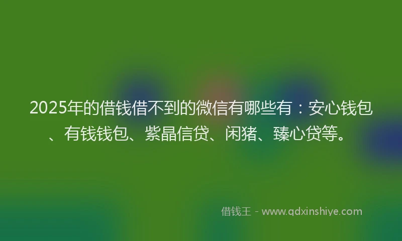 2025年的借钱借不到的微信有哪些有：安心钱包、有钱钱包、紫晶信贷、闲猪、臻心贷等。
