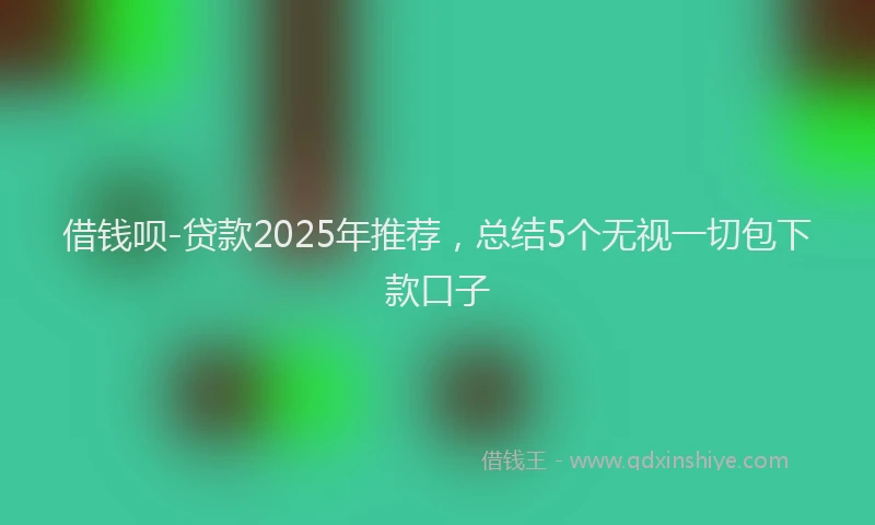 借钱呗-贷款2025年推荐，总结5个无视一切包下款口子