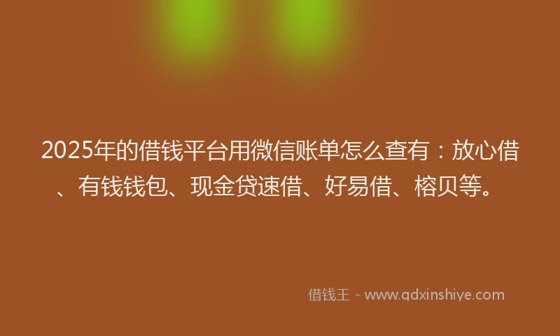 2025年的借钱平台用微信账单怎么查有：放心借、有钱钱包、现金贷速借、好易借、榕贝等。