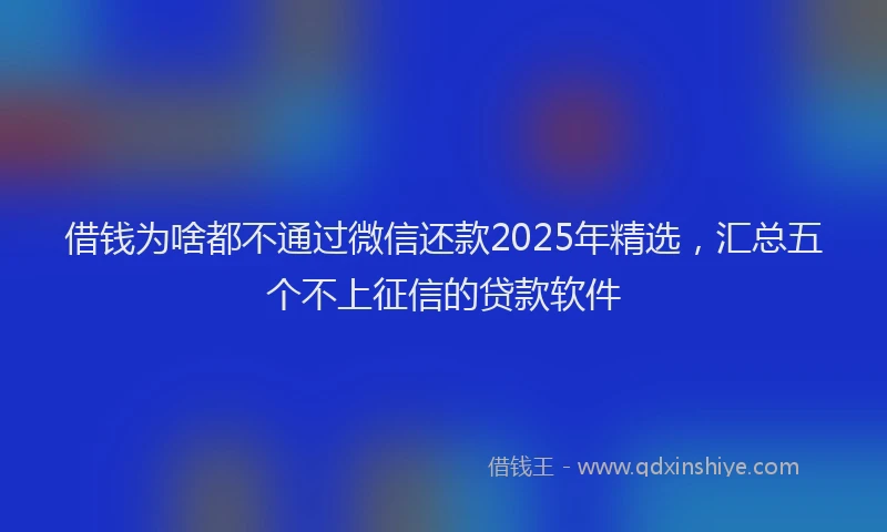 借钱为啥都不通过微信还款2025年精选，汇总五个不上征信的贷款软件