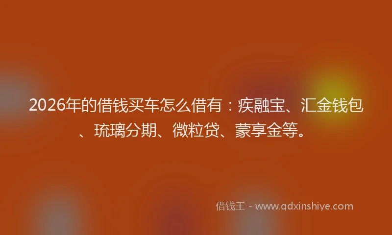 2026年的借钱买车怎么借有：疾融宝、汇金钱包、琉璃分期、微粒贷、蒙享金等。
