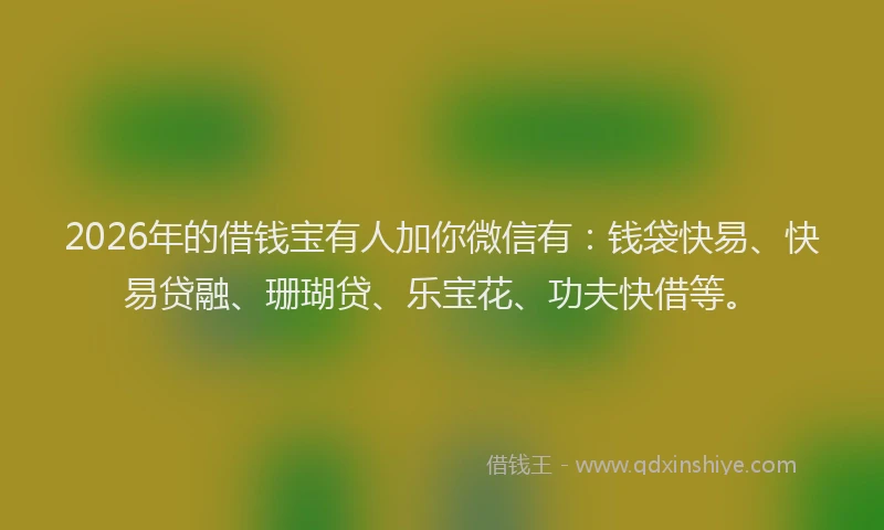 2026年的借钱宝有人加你微信有：钱袋快易、快易贷融、珊瑚贷、乐宝花、功夫快借等。