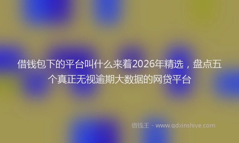 借钱包下的平台叫什么来着2026年精选,盘点五个真正无视逾期大数据的网贷平台