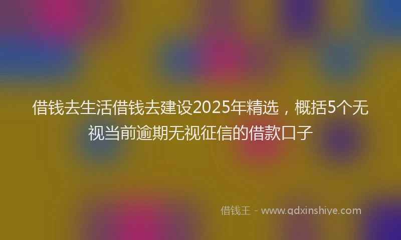 借钱去生活借钱去建设2025年精选，概括5个无视当前逾期无视征信的借款口子