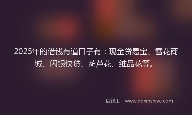 2025年的借钱有道口子有：现金贷易宝、雪花商城、闪银快贷、葫芦花、维品花等。