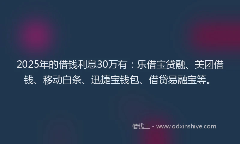 2025年的借钱利息30万有：乐借宝贷融、美团借钱、移动白条、迅捷宝钱包、借贷易融宝等。
