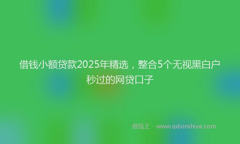 借钱小额贷款2025年精选，整合5个无视黑白户秒过的网贷口子