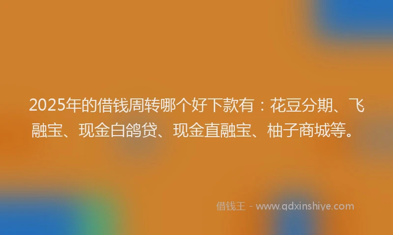 2025年的借钱周转哪个好下款有:花豆分期、飞融宝、现金白鸽贷、现金直融宝、柚子商城等。